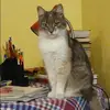 Отзыв от Тамара Прохорова
